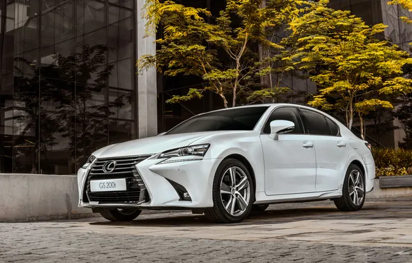 Lexus, sedan, Lexus, Sedan