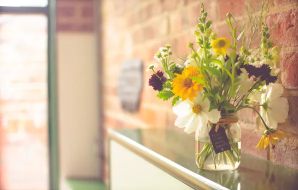 Picture flowers, wall, Windows, bouquet, living room, sunlight