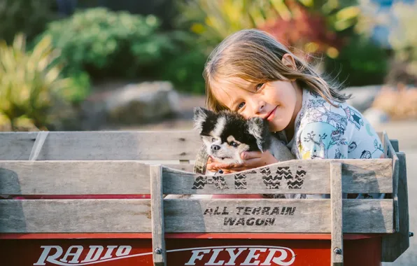 Picture each, dog, girl, puppy, truck