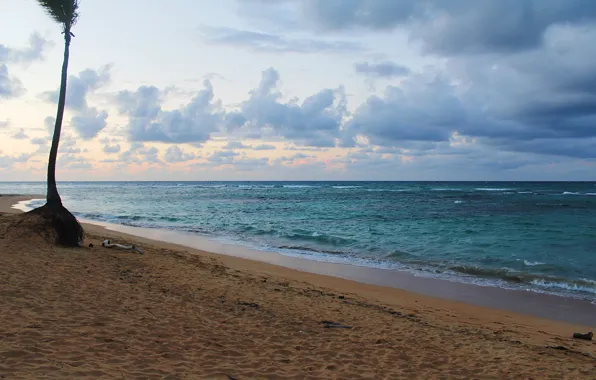 The ocean, Dominican Republic, Dominican Republic