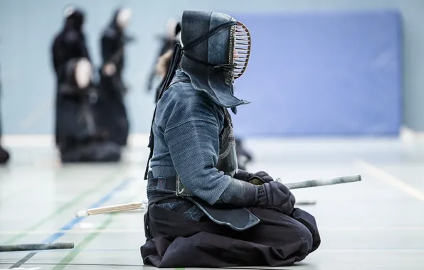 Picture sport, fighter, kendo