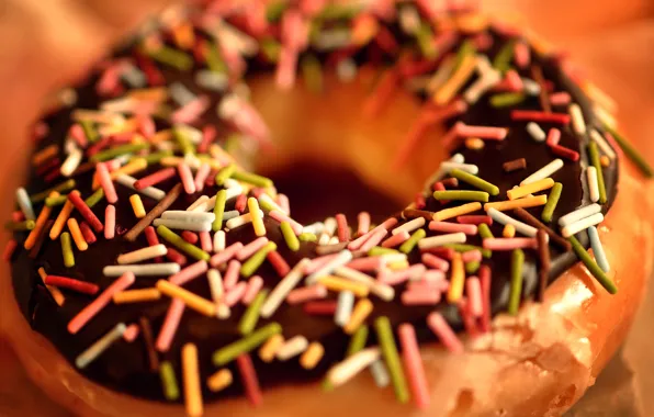 Picture macro, the sweetness, food, chocolate, food, donut, dessert, macro