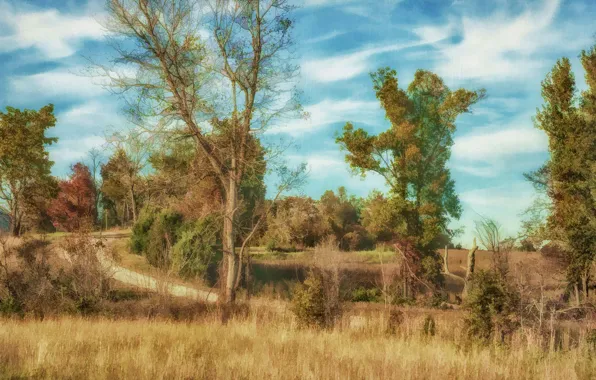 Road, the sky, clouds, trees, nature