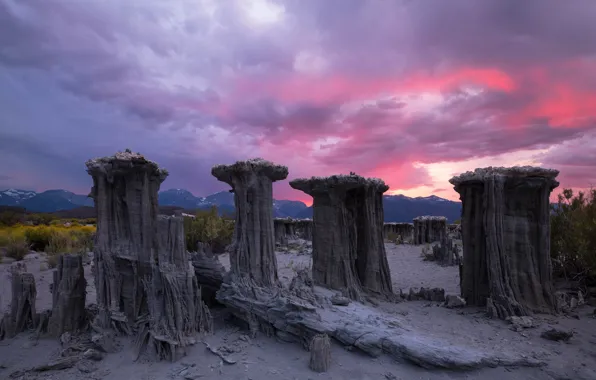 The sky, mountains, America, shrubs, pink clouds, petrified stumps