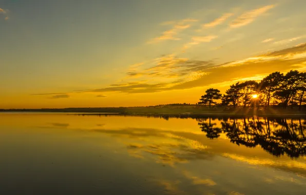 Trees, sunset, lake, reflection, England, England, Hampshire, Hampshire