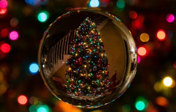 SPHERE, BALL, REFLECTION, TOY, MOOD, HOLIDAY, TREE