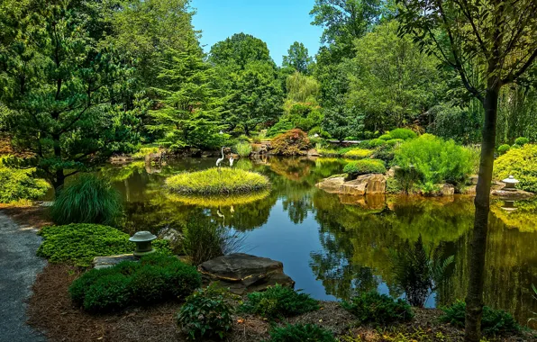 Greens, water, trees, pond, Park, stones, USA, Ball Ground