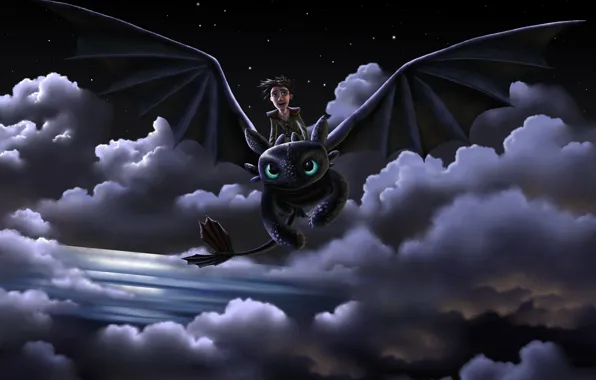 Picture flight, joy, night, dragon, guy, art, how to train your dragon, toothless