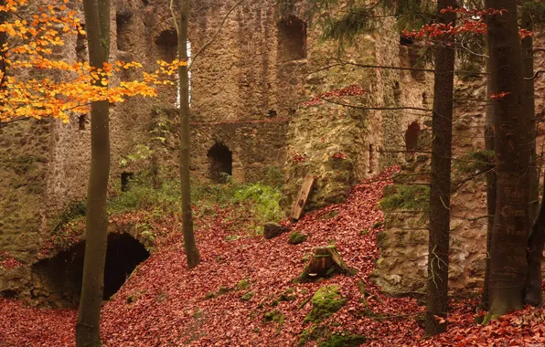 Autumn, forest, ruins