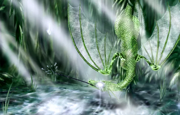 Picture dragon, swamp, green