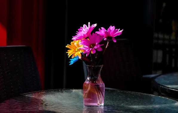 Flowers, background, vase