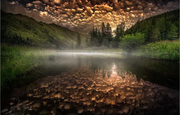 Forest, the sky, mountains, river, Friedrich Beren