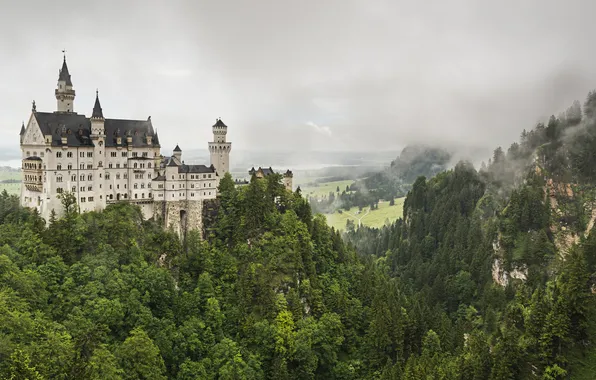 Forest, trees, mountains, fog, castle, rocks, view, height