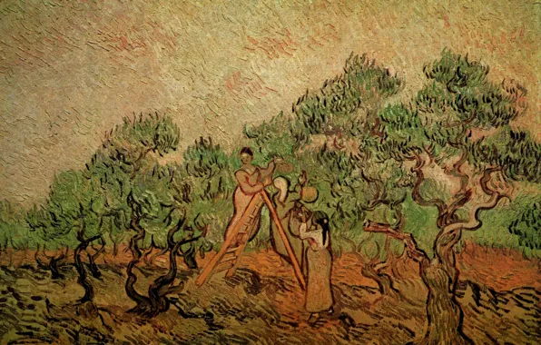 Trees, ladder, two girls, Vincent van Gogh, collect fruits, Olive Picking 3