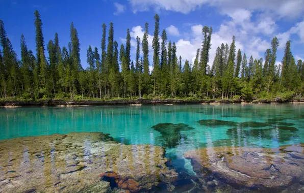 The Pacific ocean, New Caledonia, Isle of pines