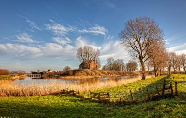 Picture light, trees, nature, river, Netherlands, Holland