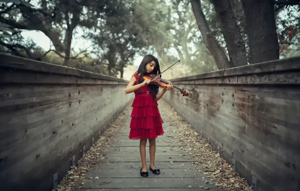 Picture violin, girl, The Violinist