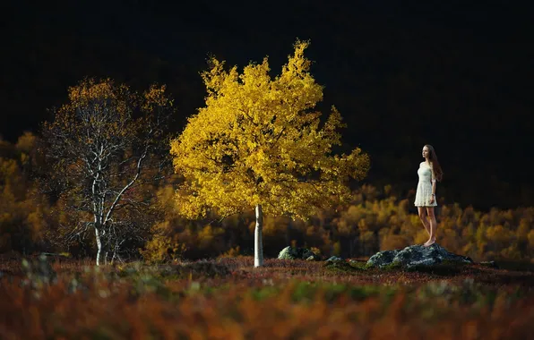 Autumn, girl, tree