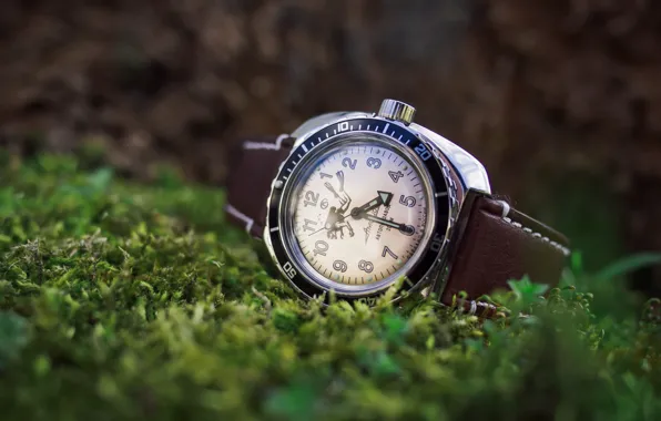 Grass, watch, dial