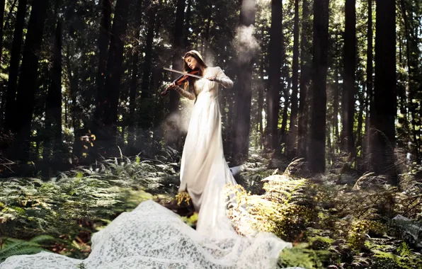 Picture forest, girl, music, violin