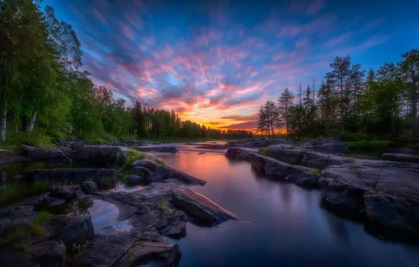 Forest, sunset, river, Finland