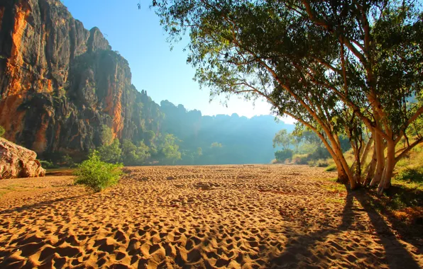 Sand, trees, rocks, Australia, gorge, Windjana gorge, The Kimberley in Western Australia