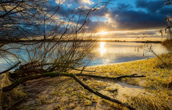 Grass, the sun, clouds, rays, light, branches, clouds, lake