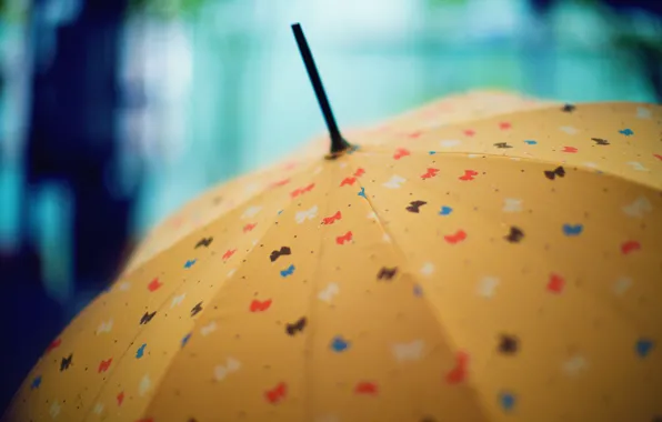 Picture figure, umbrella, bows