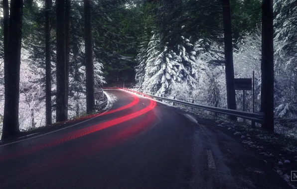 Picture road, forest, light, snow, excerpt