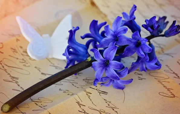 Letter, flowers, retro, background, butterfly, figure, handwriting, composition