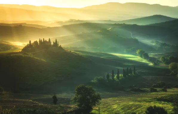 Road, greens, summer, rays, light, trees, mountains, fog