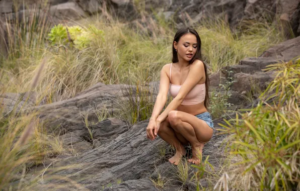 Rock, grass, long hair, hot girl, field, nature, model, brunette