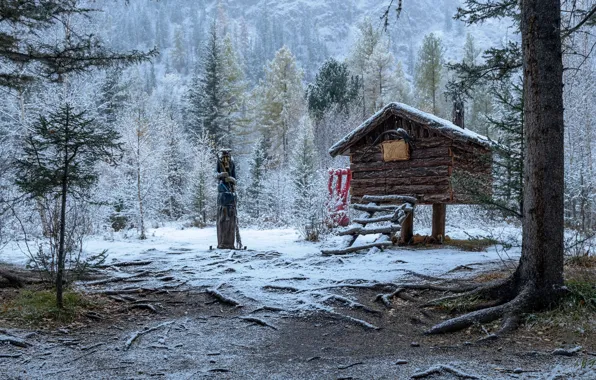 Picture frost, forest, trees, landscape, nature, hut, Altay, Marina Fomina