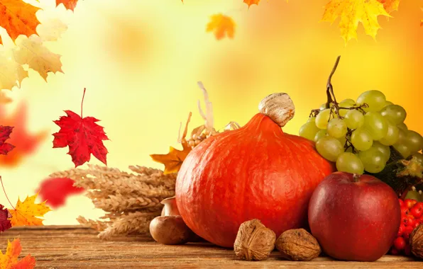 Autumn, leaves, mushrooms, Apple, pumpkin, fruit, vegetables, Kalina