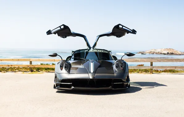 Picture Pagani, Carbon, Italia, To huayr