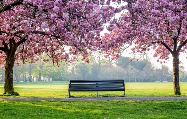 Garden bench facing lake view background with sunlight. 28155354 Stock  Photo at Vecteezy