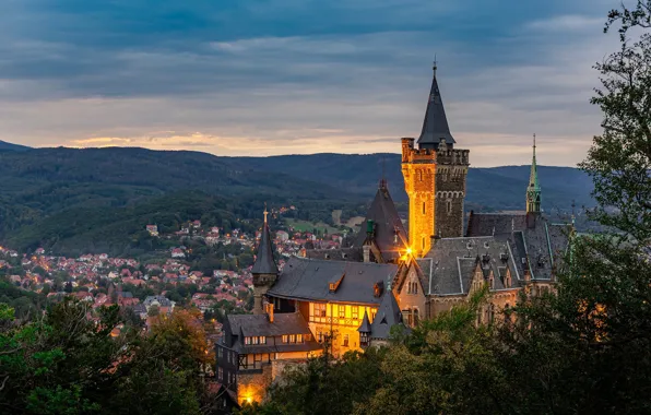 Picture trees, mountains, castle, Germany, panorama, Germany, Saxony-Anhalt, Saxony-Anhalt