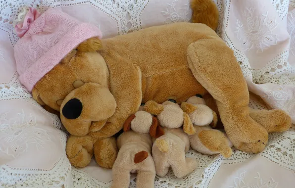 Picture toy, dog, puppies, cap