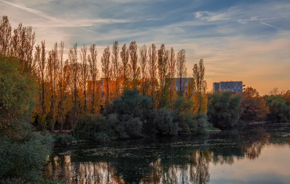 Autumn, clouds, light, trees, the city, lake, pond, reflection