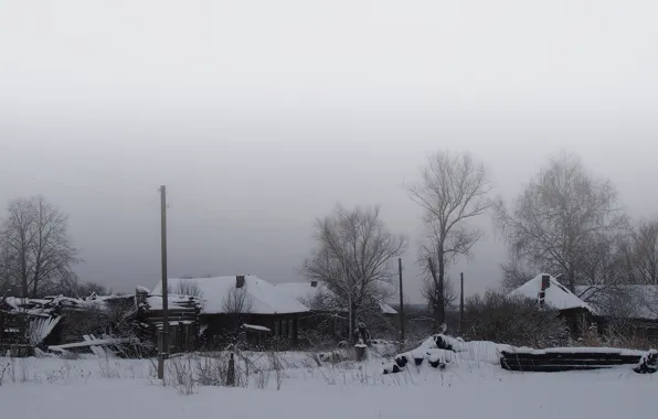 Winter, Black, White, Trees, Snow, House, Village, Grey