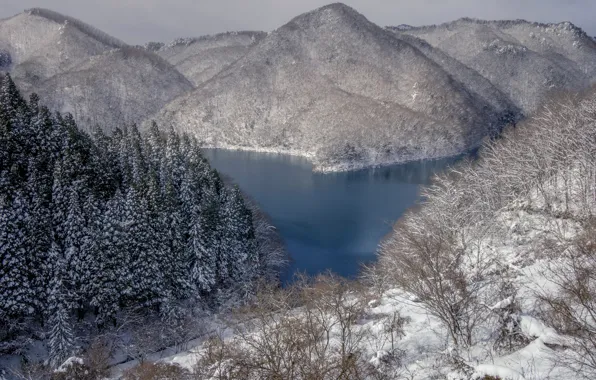 Winter, snow, trees, mountains, lake, Japan
