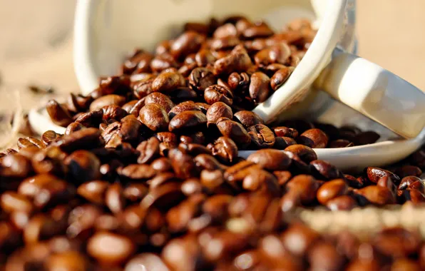 Mug, a lot, coffee, coffee beans, placer