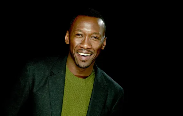 Picture smile, male, actor, actor, smile, man, Was Maharshal Ali, Mahershala Ali