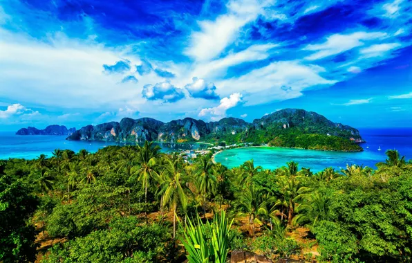 Picture palm trees, Thailand, Phuket, Krabi, Similan Islands