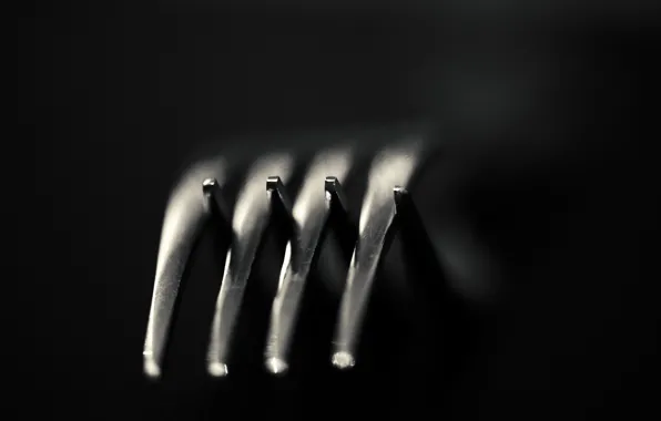 Macro, background, fork