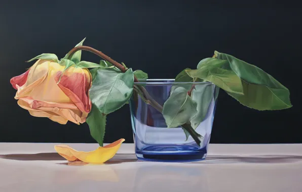 Picture flower, glass, rose, petal, art, tea