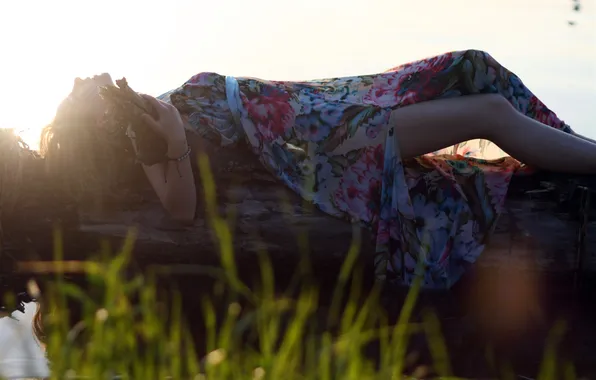 Picture GIRL, NATURE, GRASS, TRUNK, The SUN, LOG, LIGHT, SUNDRESS