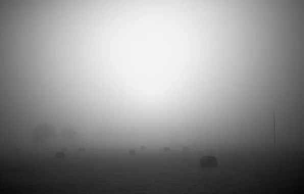Nature, fog, photo, background, Wallpaper, landscapes, haze