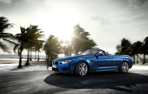 BMW, Cabrio, Bule