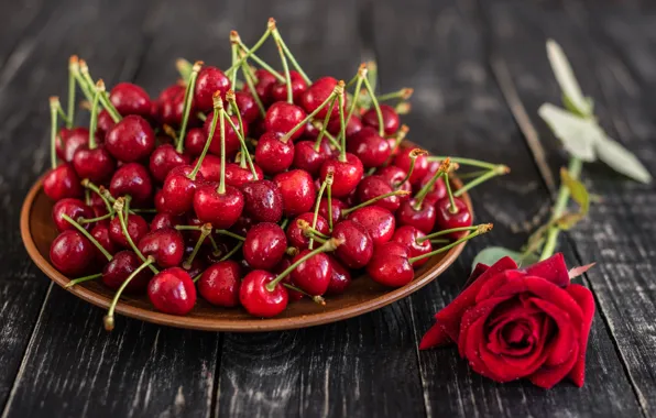 Picture roses, cherry, ripe